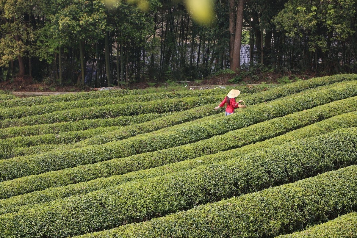 #版主坐堂#2018年4月份《承德》优秀作品选辑