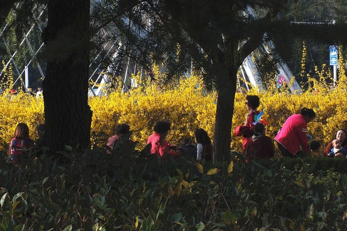 #版主坐堂#2018年4月份《承德》优秀作品选辑