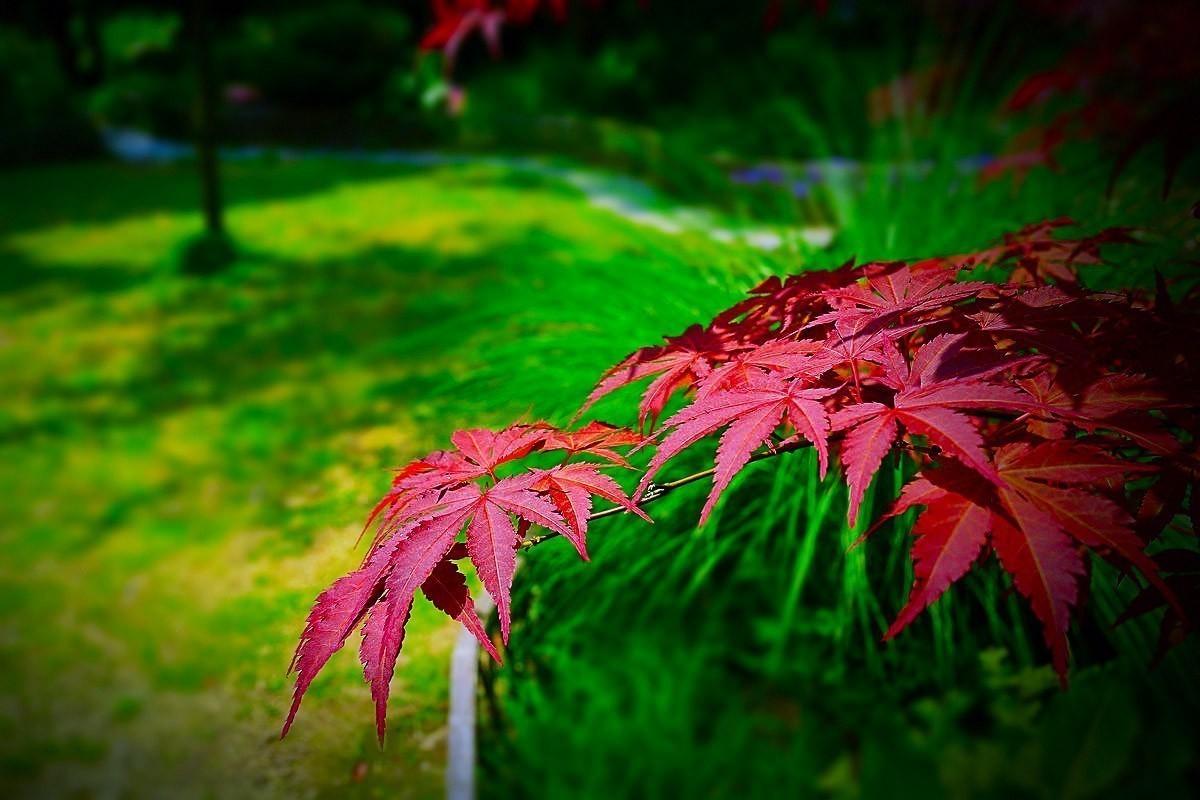 #版主坐堂#2018年4月份《承德》优秀作品选辑