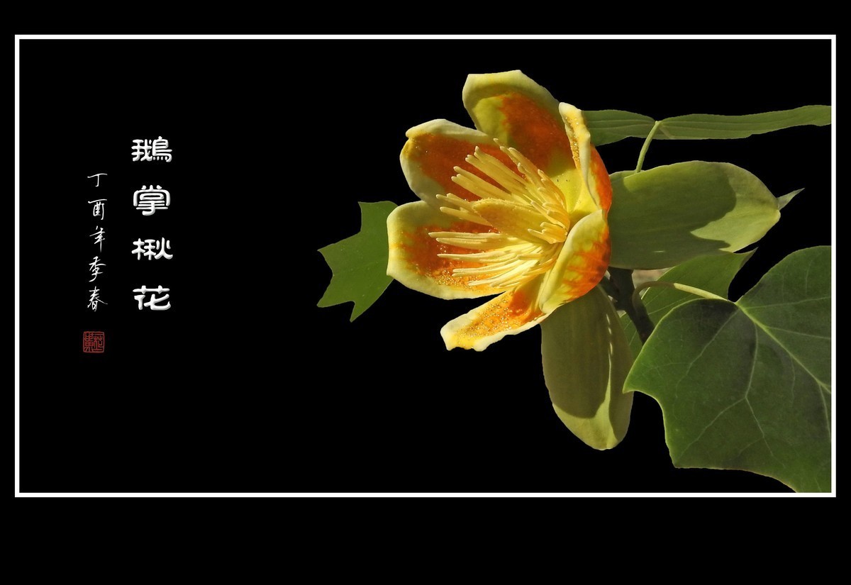 #版主坐堂#2018年4月份《承德》优秀作品选辑