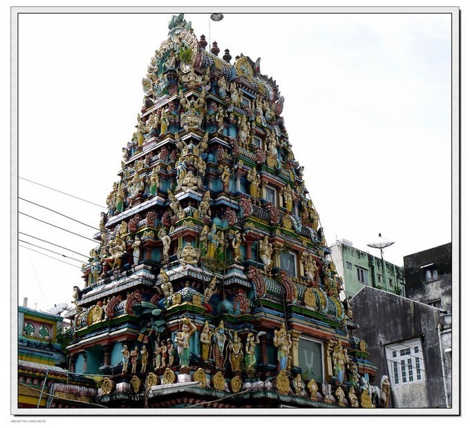 澫沣维加斯报道