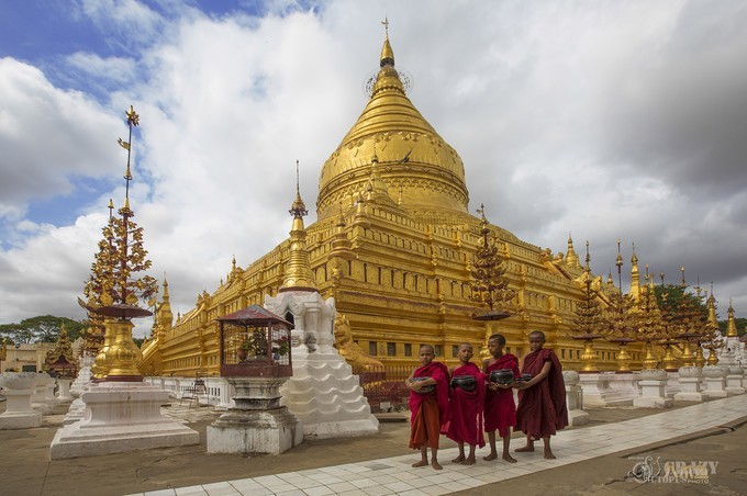 澫沣维加斯报道