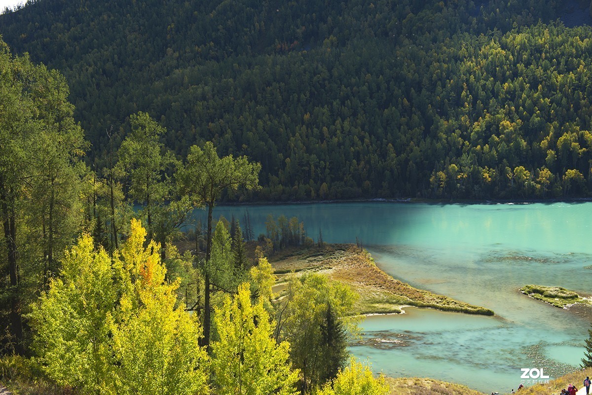 美丽的新疆之---喀纳斯（6)