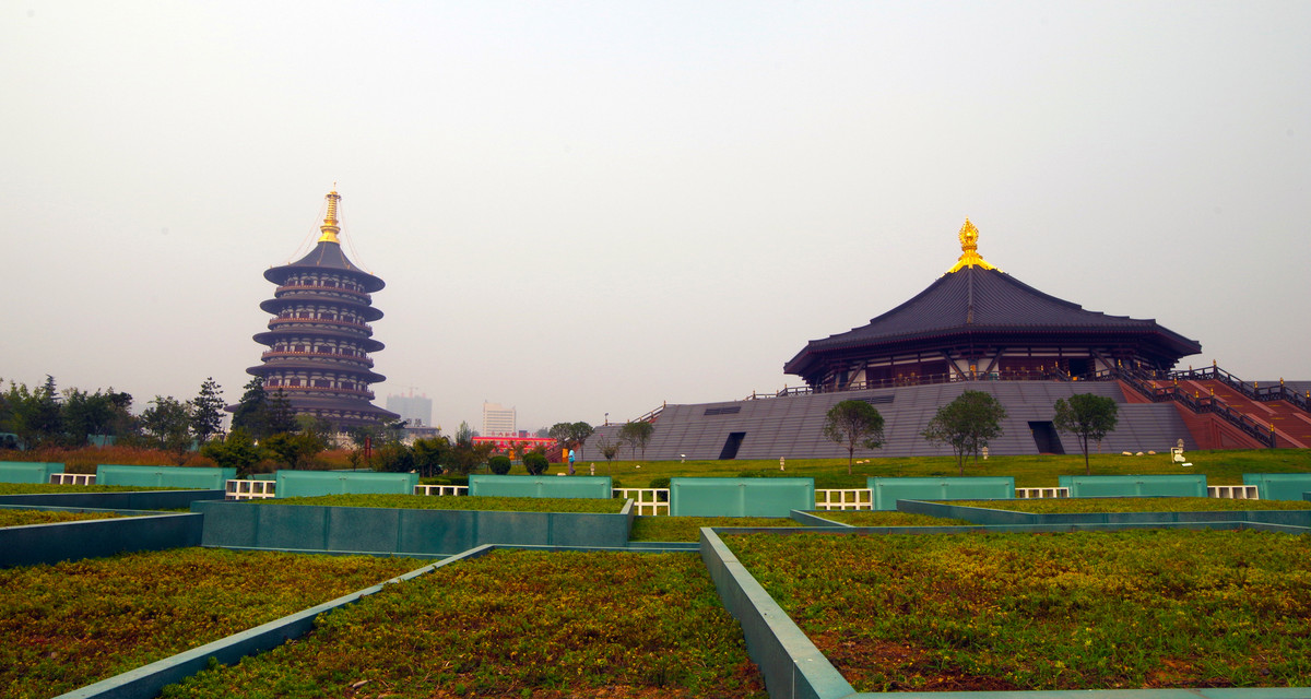 K50+刚刚入手的威慑14MM2.8手动