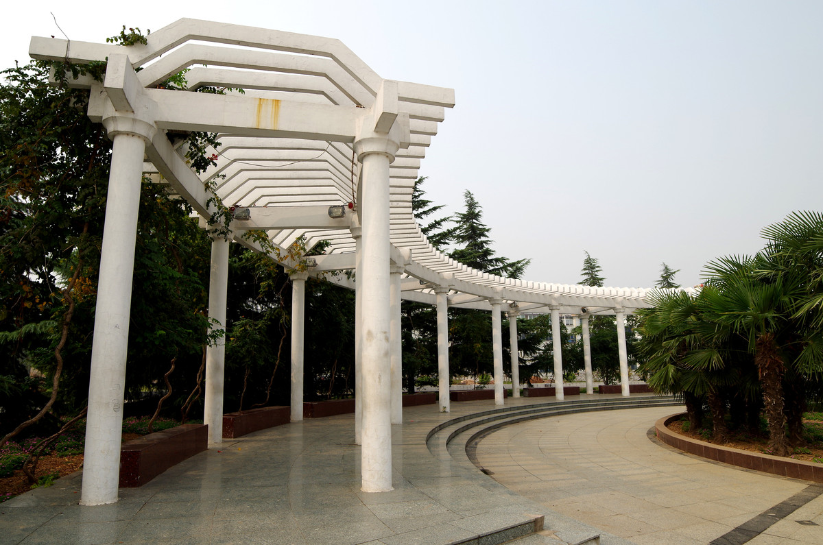 K50+刚刚入手的威慑14MM2.8手动