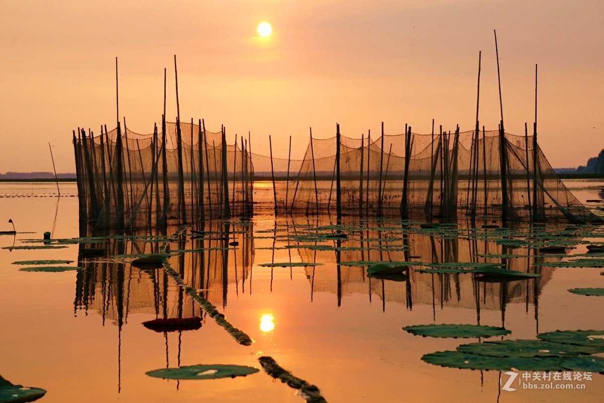 。微。湖。夕。照。
