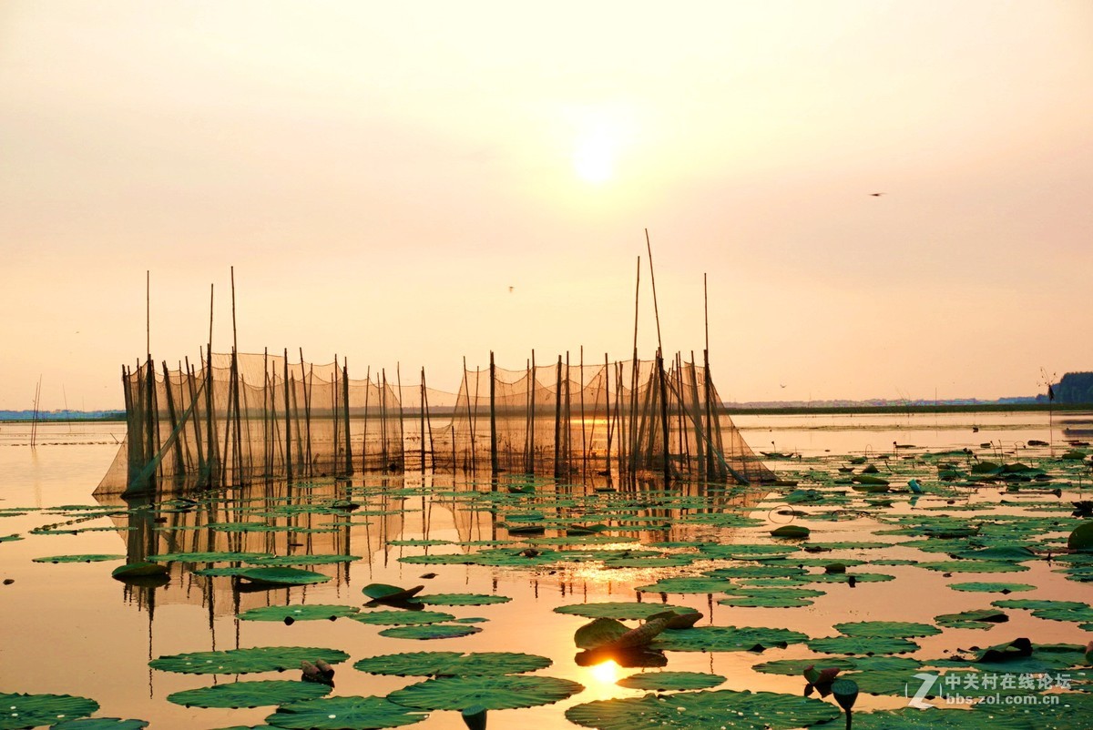 。微。湖。夕。照。