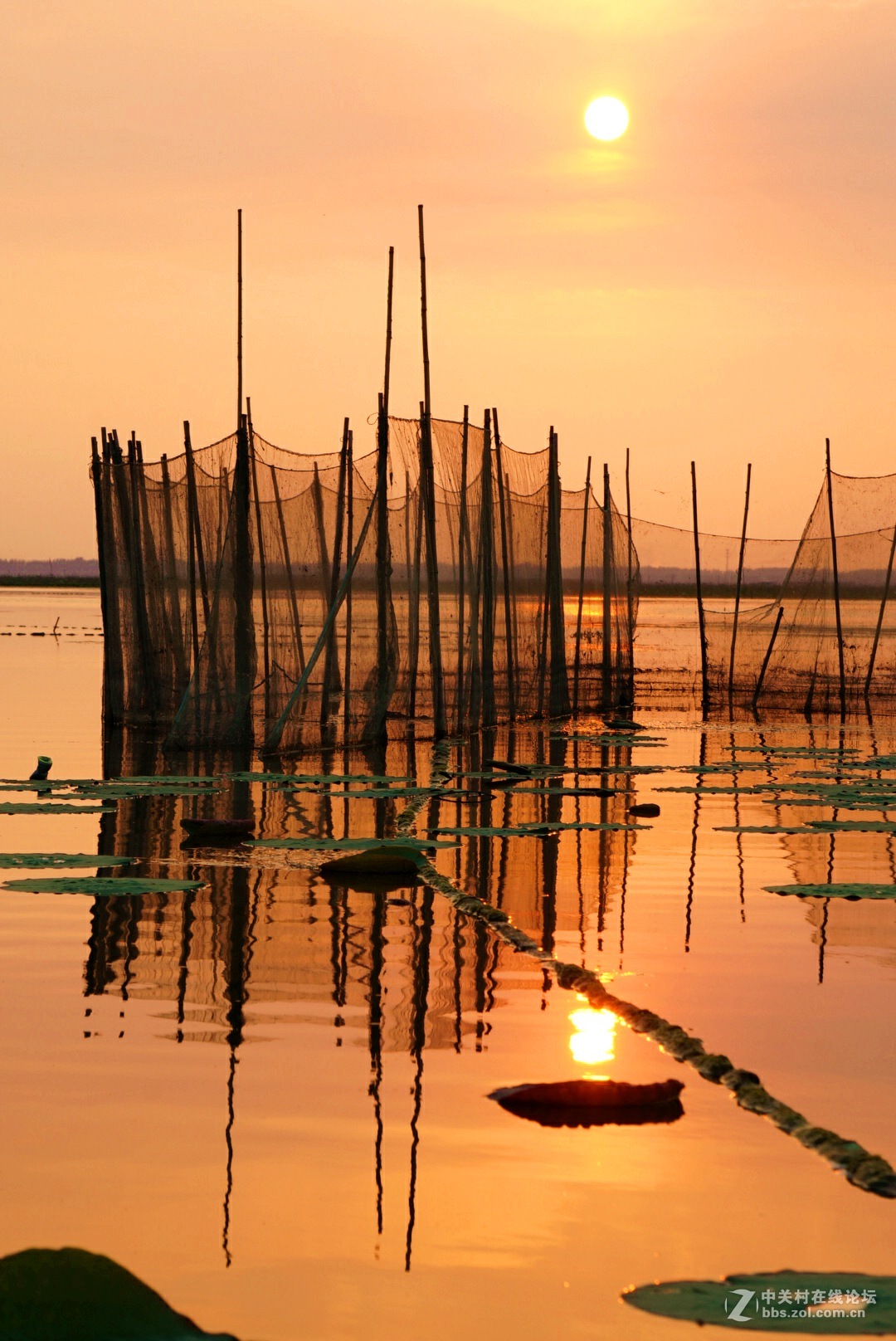 。微。湖。夕。照。