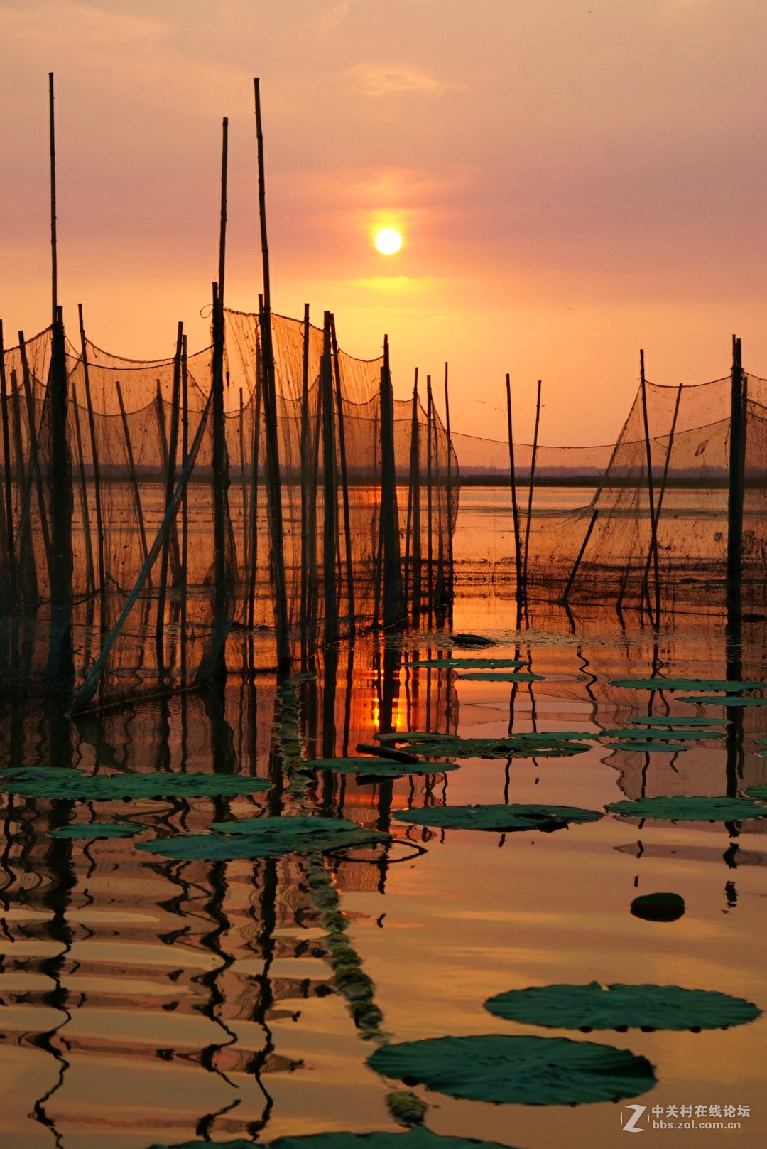 。微。湖。夕。照。