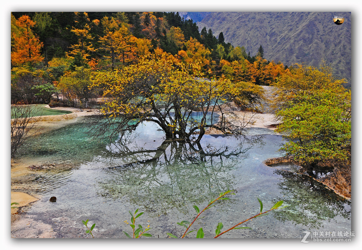 游历-四川行-黄龙