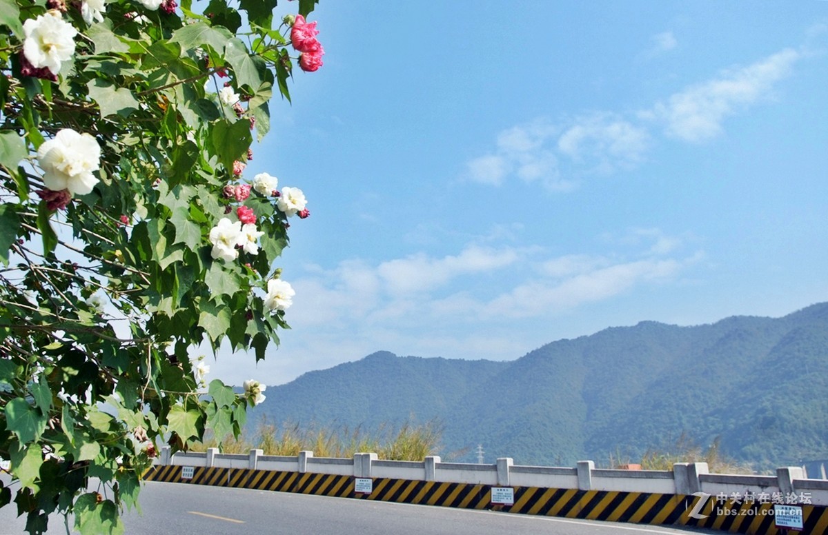 杂拍ISO400忘记调回