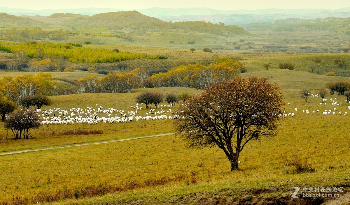 影记（77）——乌兰布统坝上行