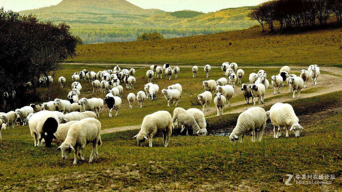 影记（77）——乌兰布统坝上行