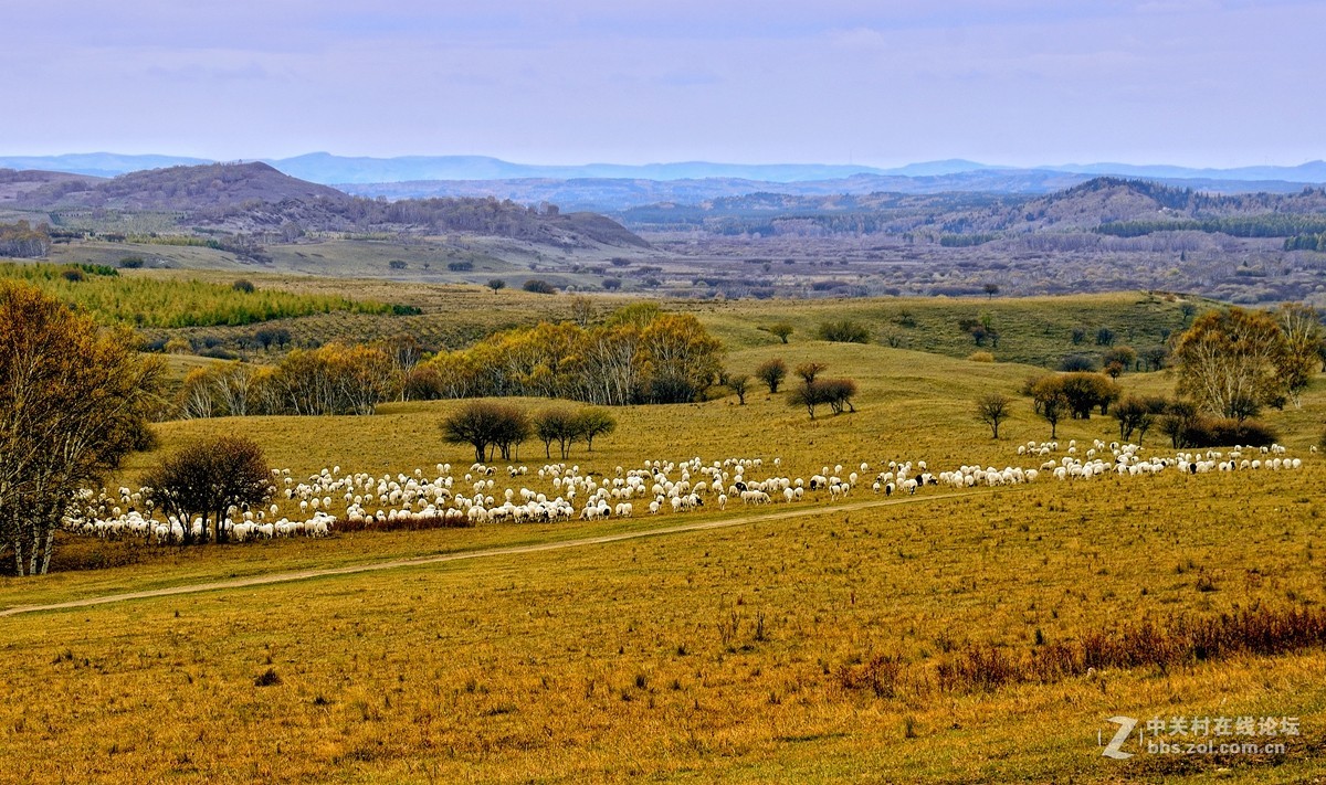 影记（77）——乌兰布统坝上行