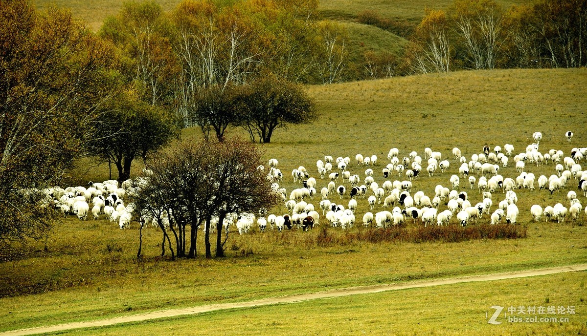 影记（77）——乌兰布统坝上行