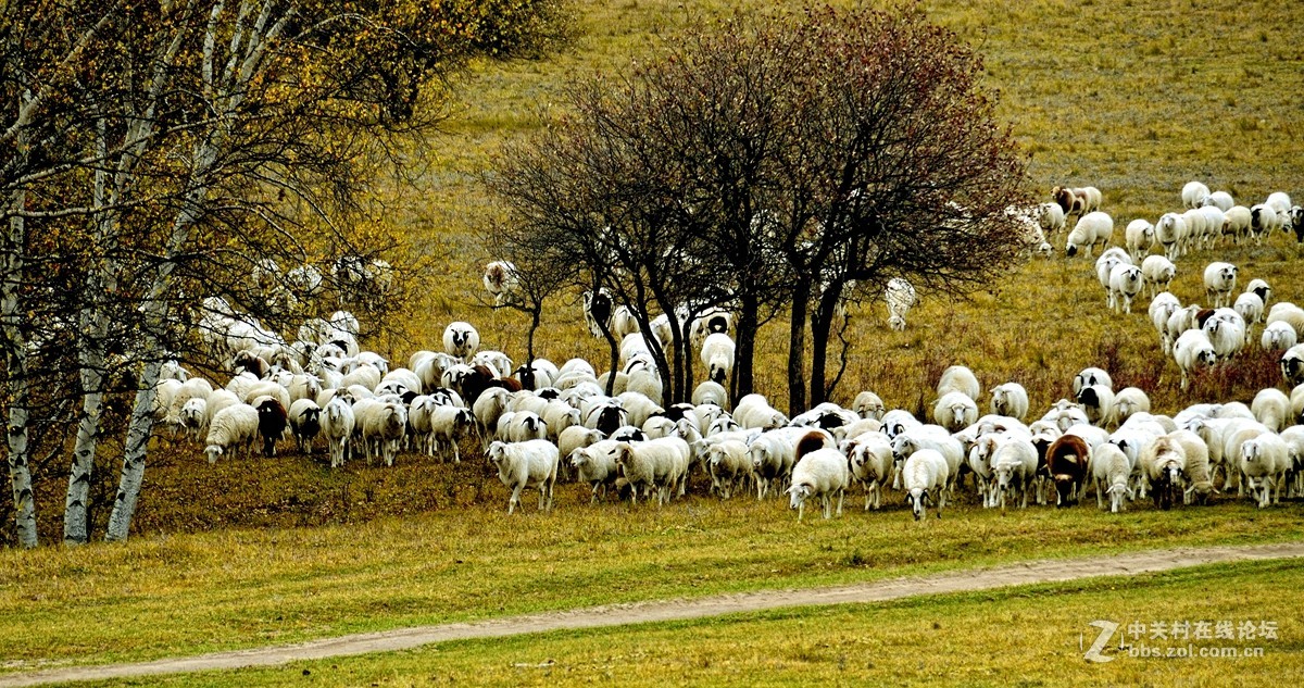 影记（77）——乌兰布统坝上行