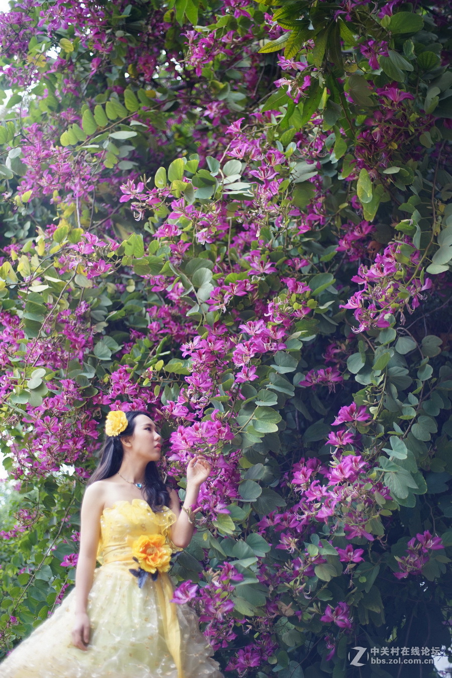 20151208 中大大摆回顾