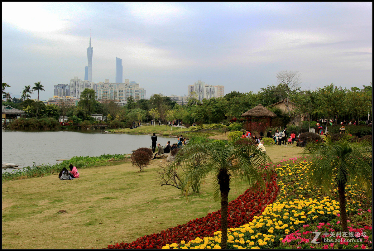 廣州海珠湖公園隨拍