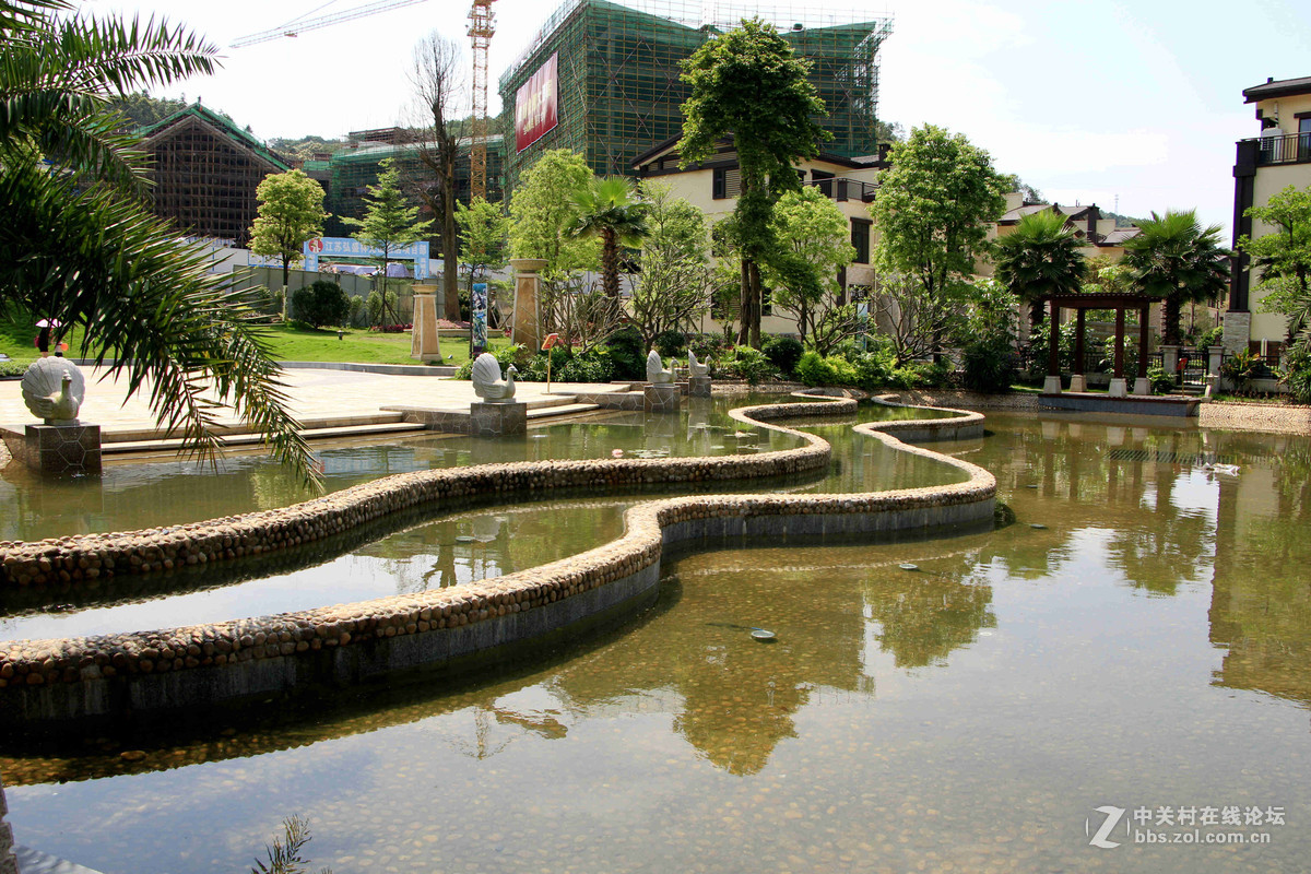 五一随拍（四）