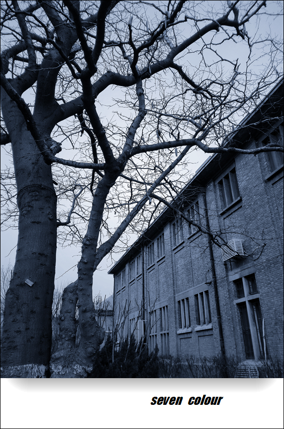 华为P8青春版杂拍