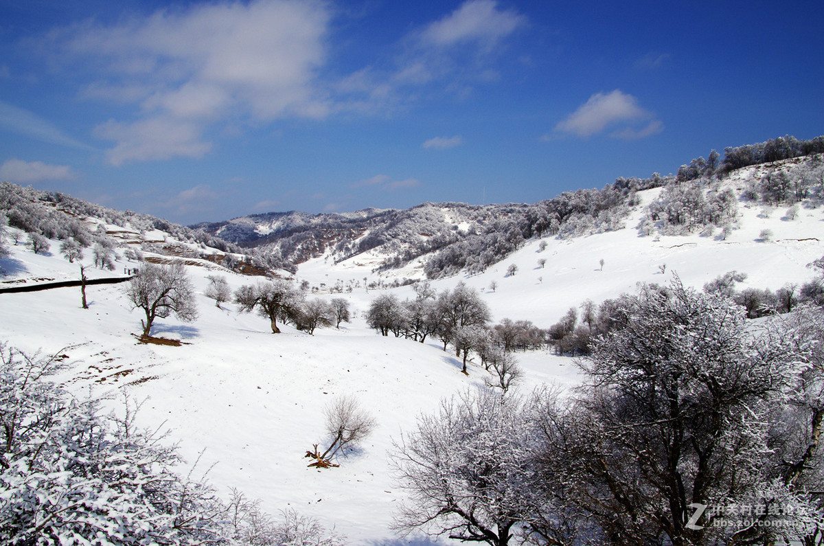 关山雪景