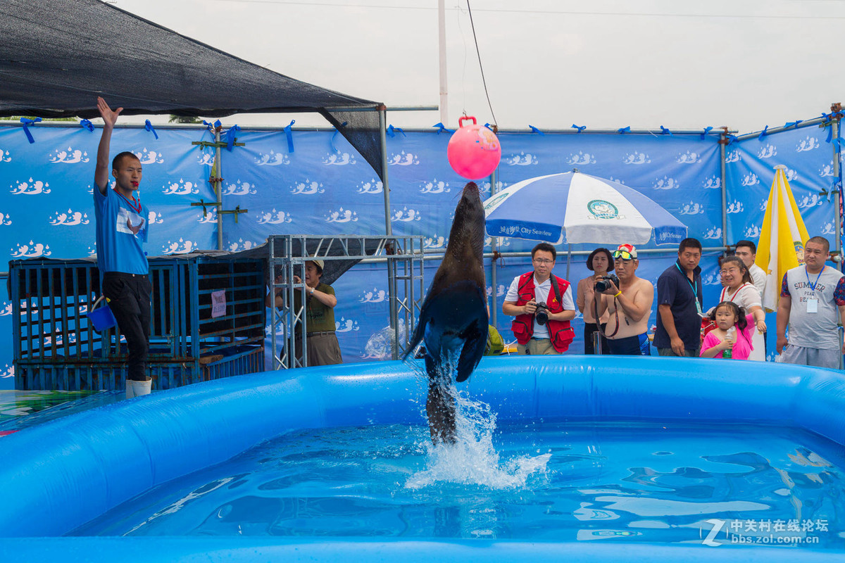 晋城市“城市海景水上乐园”