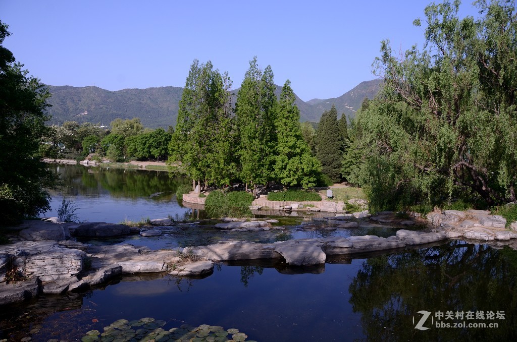 西山植物园风景片