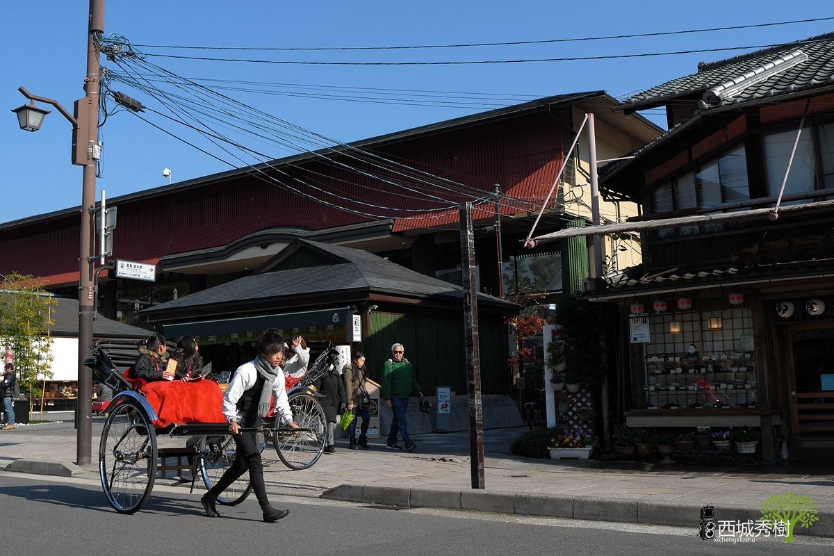 日本京都岚山风景区保津川丨渡月桥丨天龙寺丨修竹林