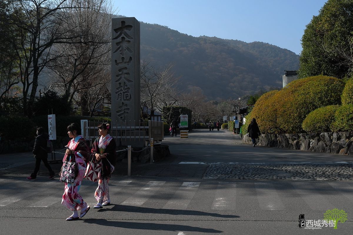日本京都岚山风景区保津川丨渡月桥丨天龙寺丨修竹林
