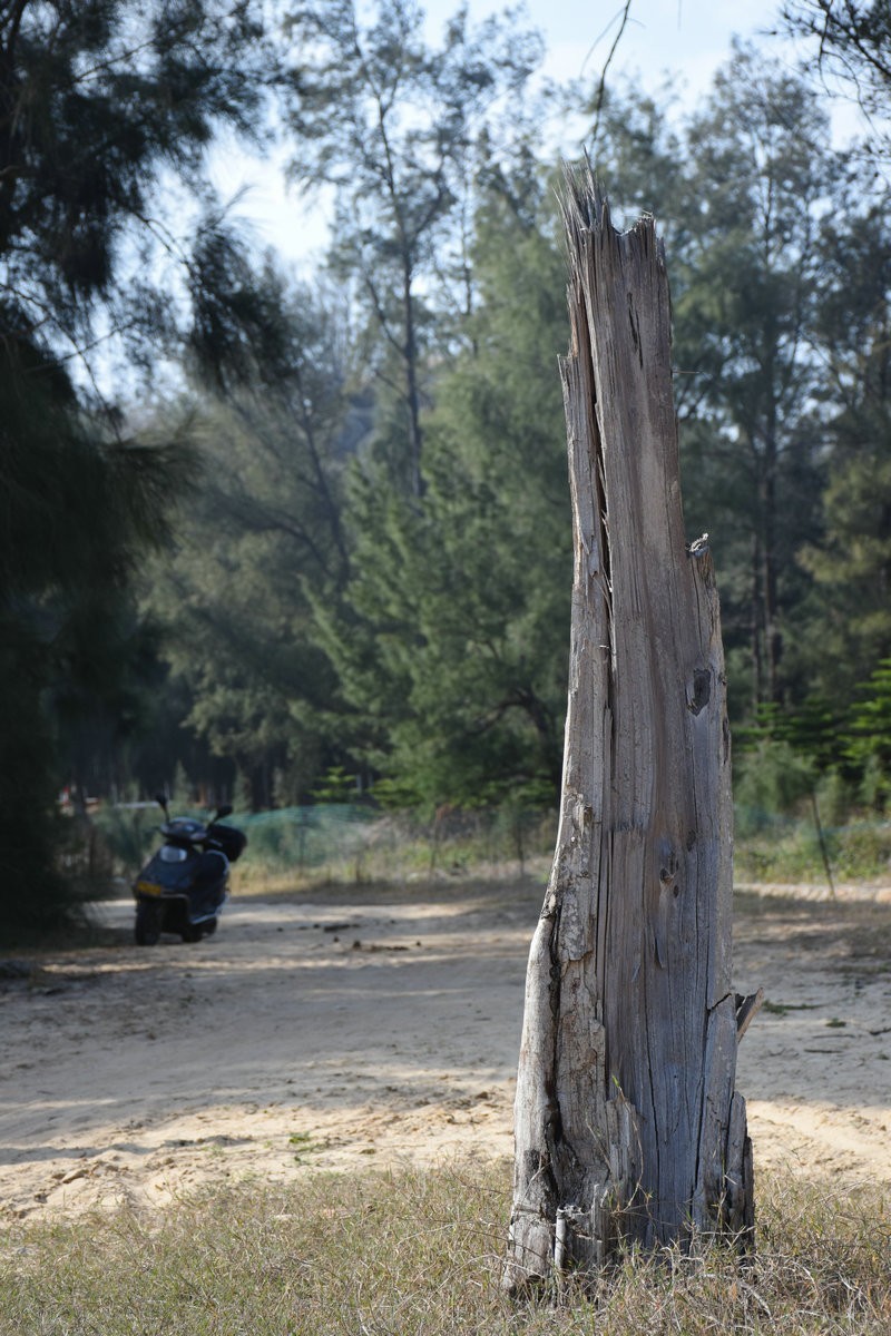 2018春节 闽粤赣（31）坛南湾
