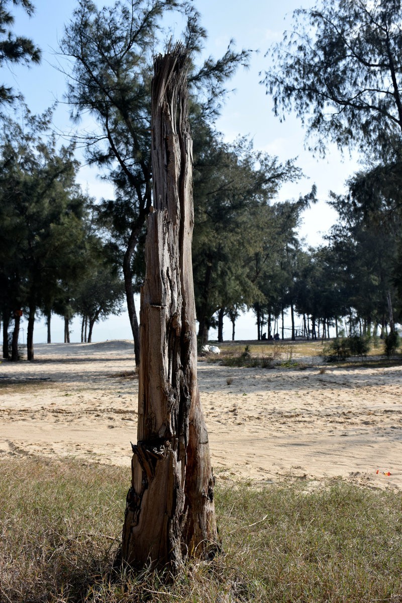 2018春节 闽粤赣（31）坛南湾