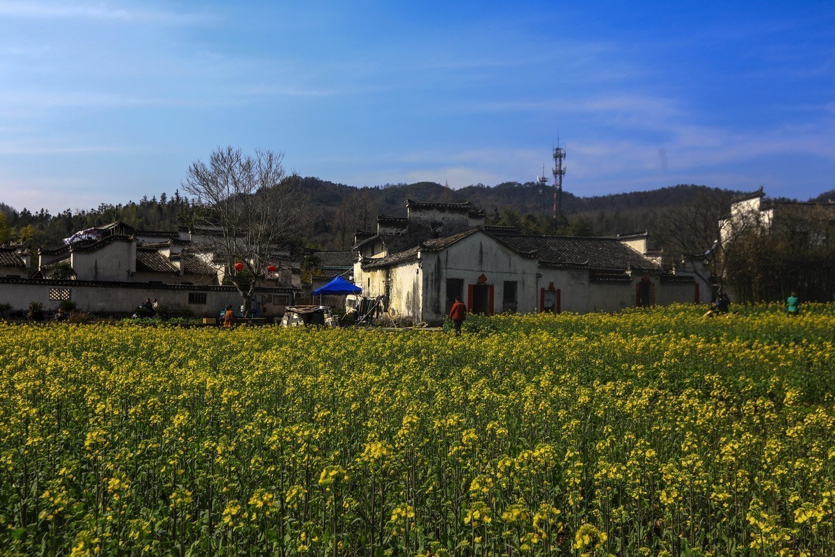 #版主坐堂#2018年4月份《承德》优秀作品选辑