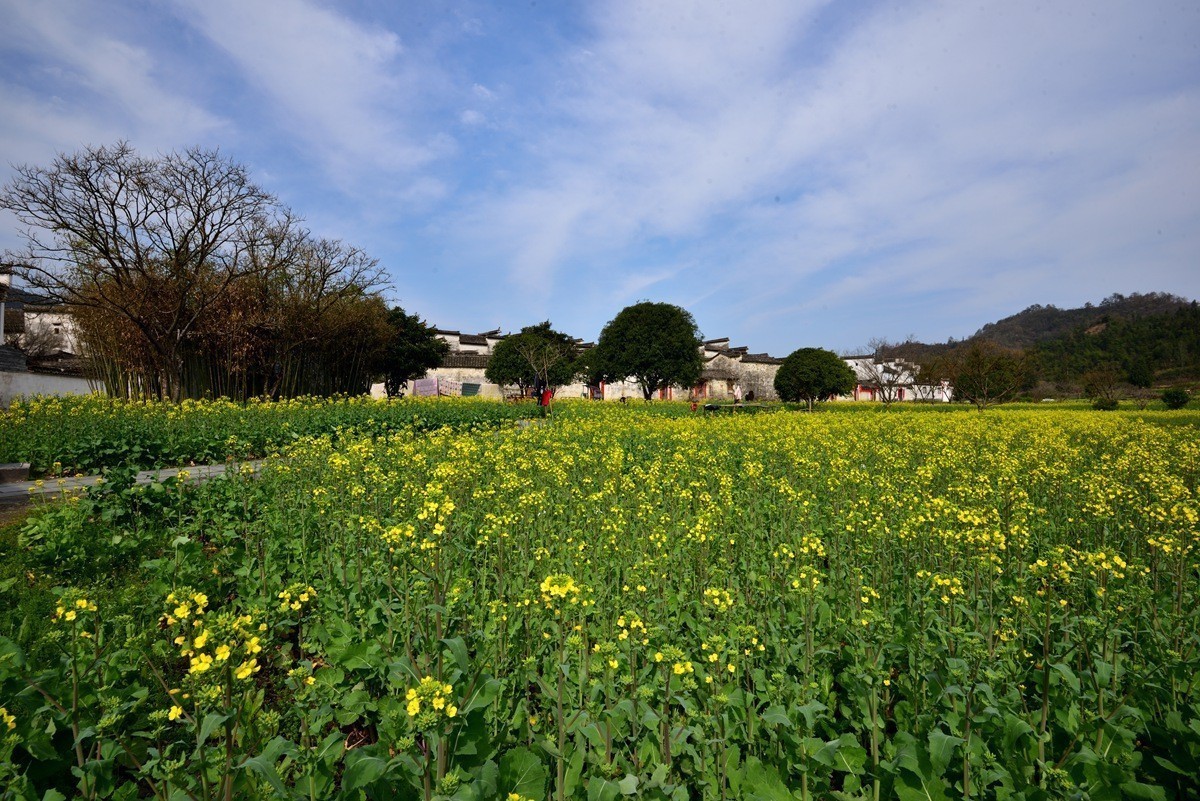 #版主坐堂#2018年4月份《承德》优秀作品选辑