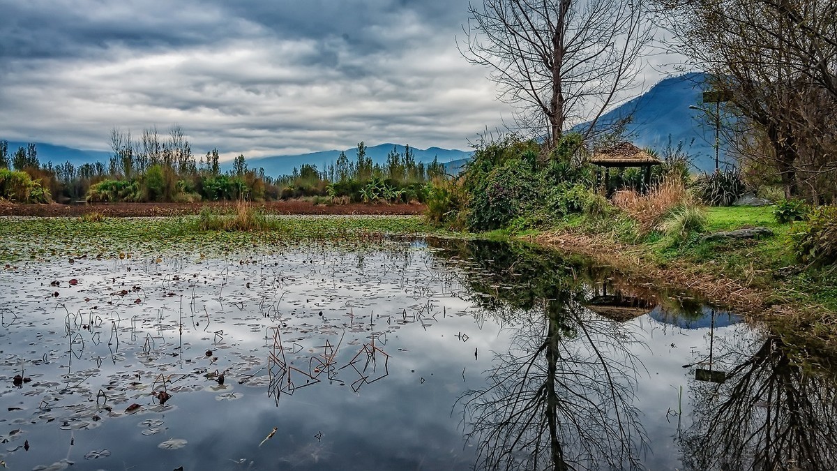 #版主坐堂#2018年4月份《承德》优秀作品选辑