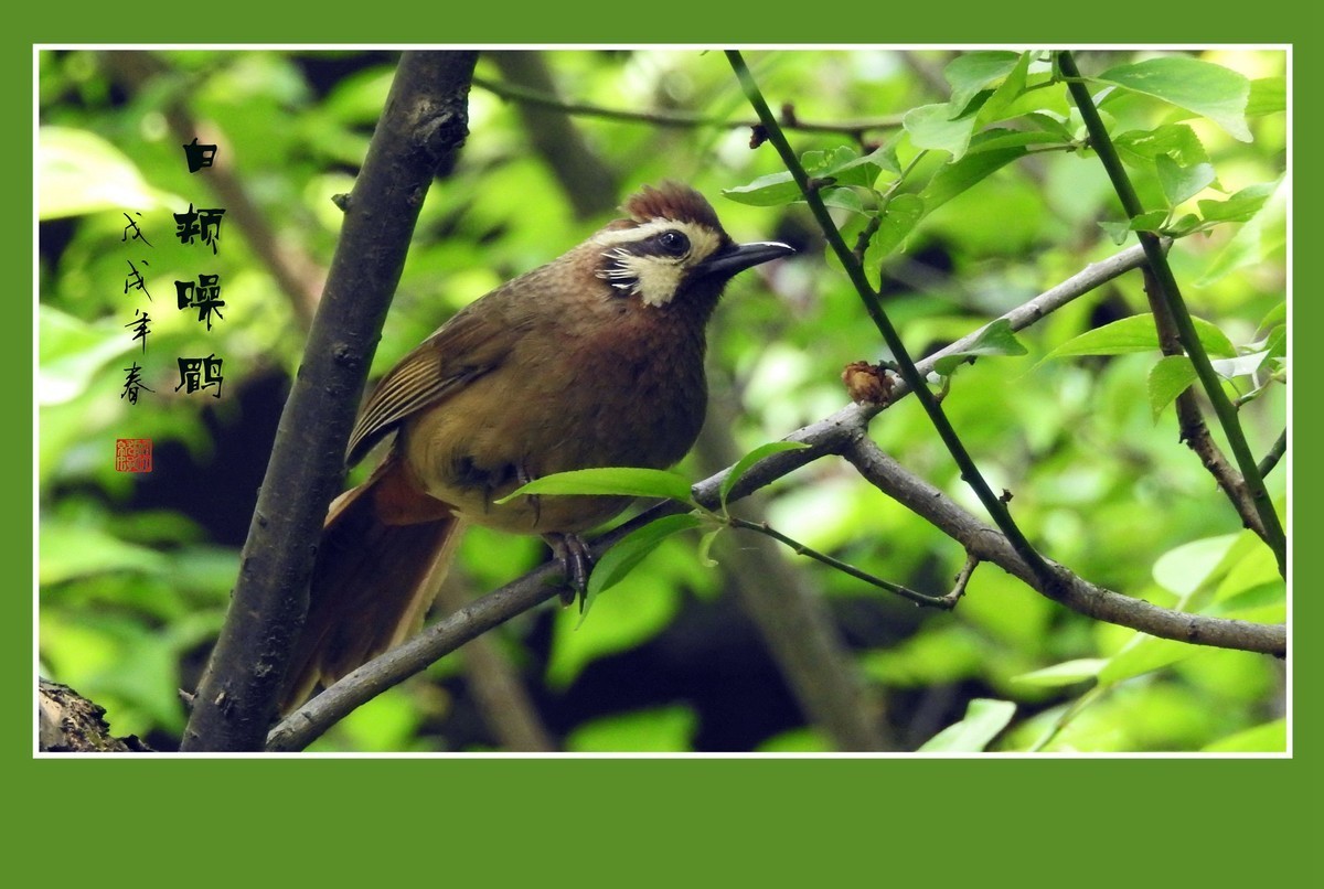 #版主坐堂#2018年4月份《承德》优秀作品选辑