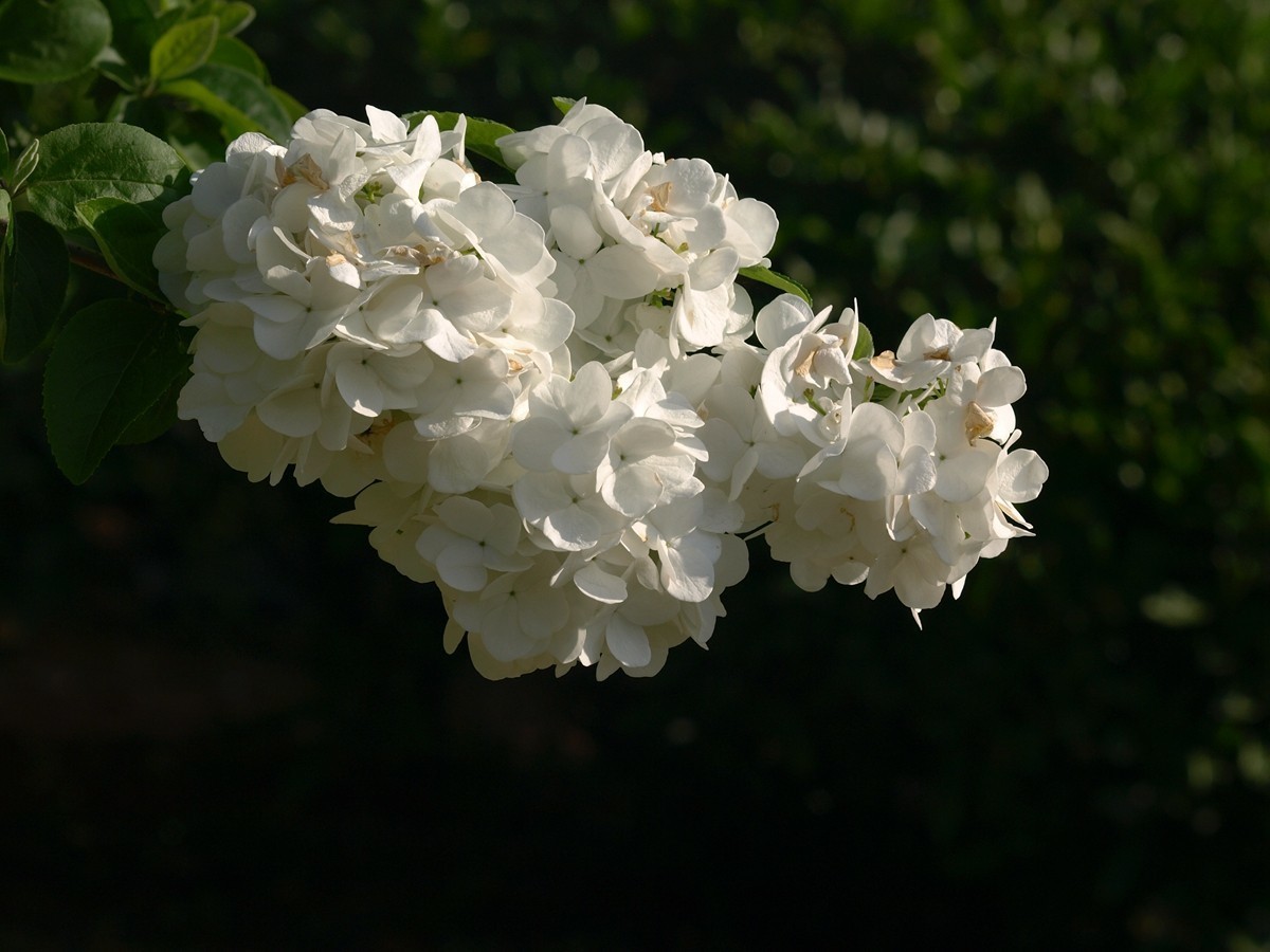 #版主坐堂#2018年4月份《承德》优秀作品选辑