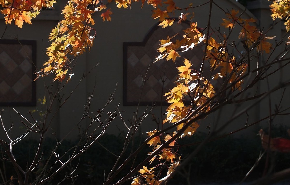 #版主坐堂#2018年4月份《承德》优秀作品选辑