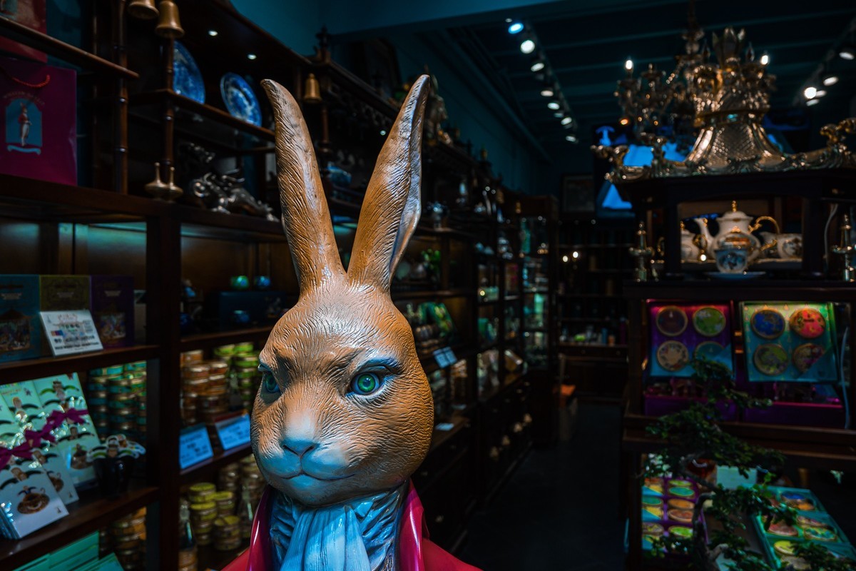 Z50套头拍小品，看F3.5的虚化。（ 附用户体验 ）