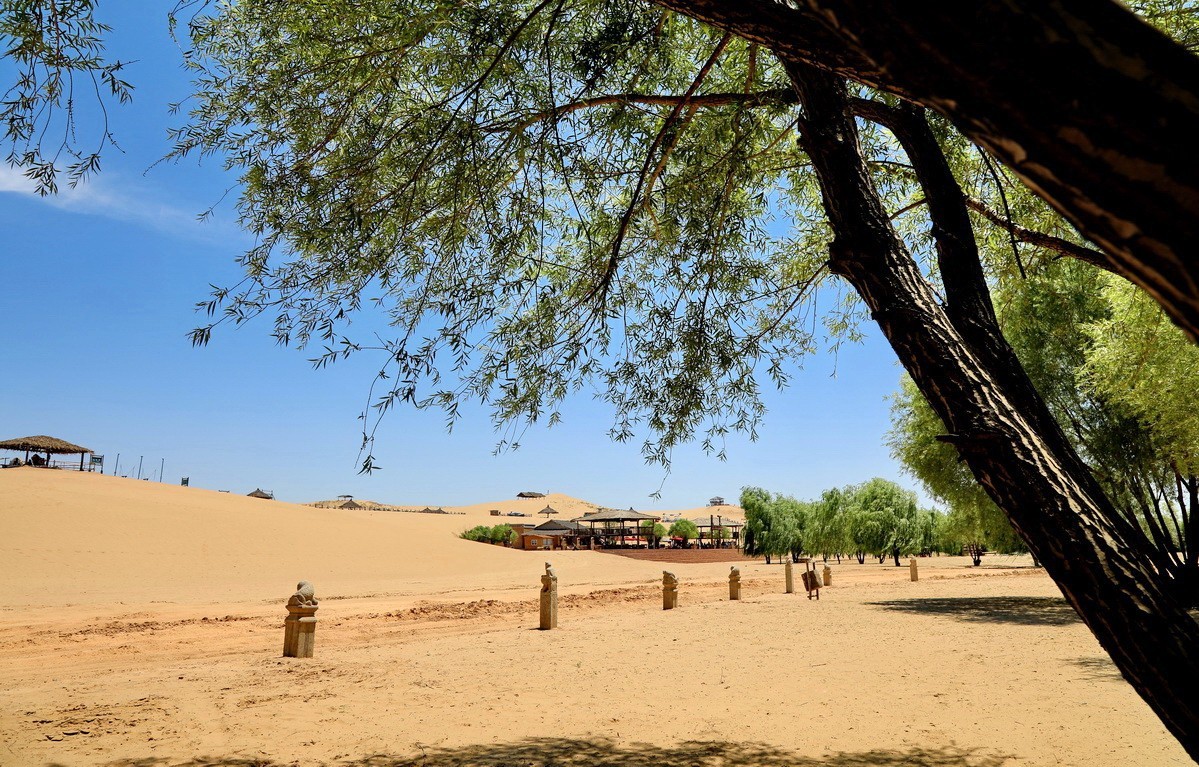 黄河古渡码头故址