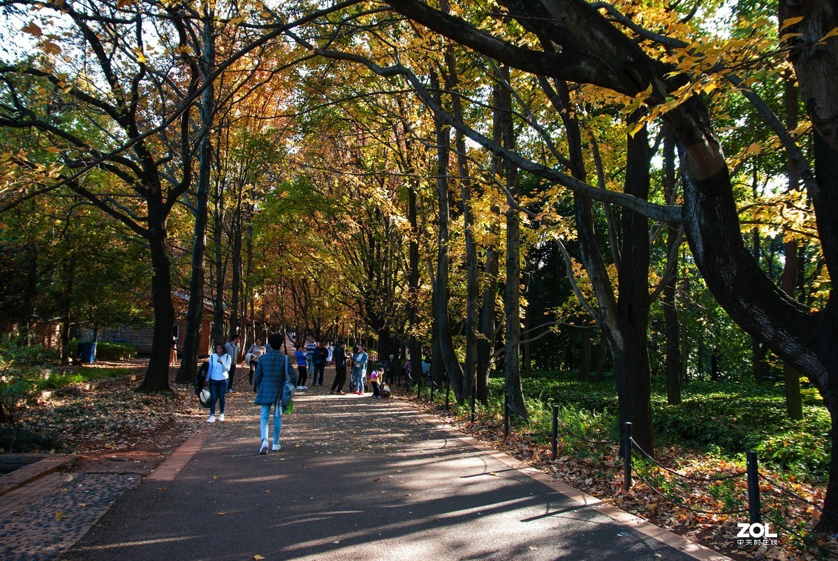 现在还有人用k200d拍照吗？