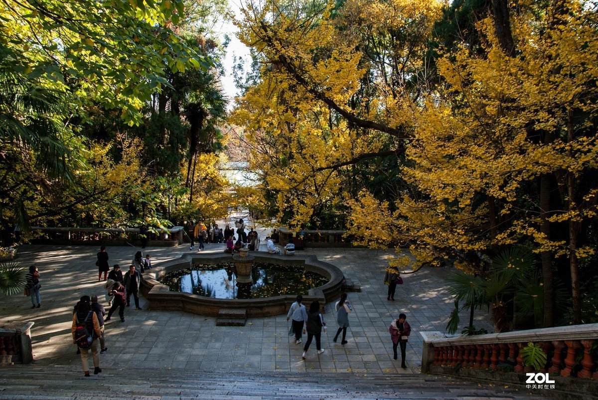 现在还有人用k200d拍照吗？