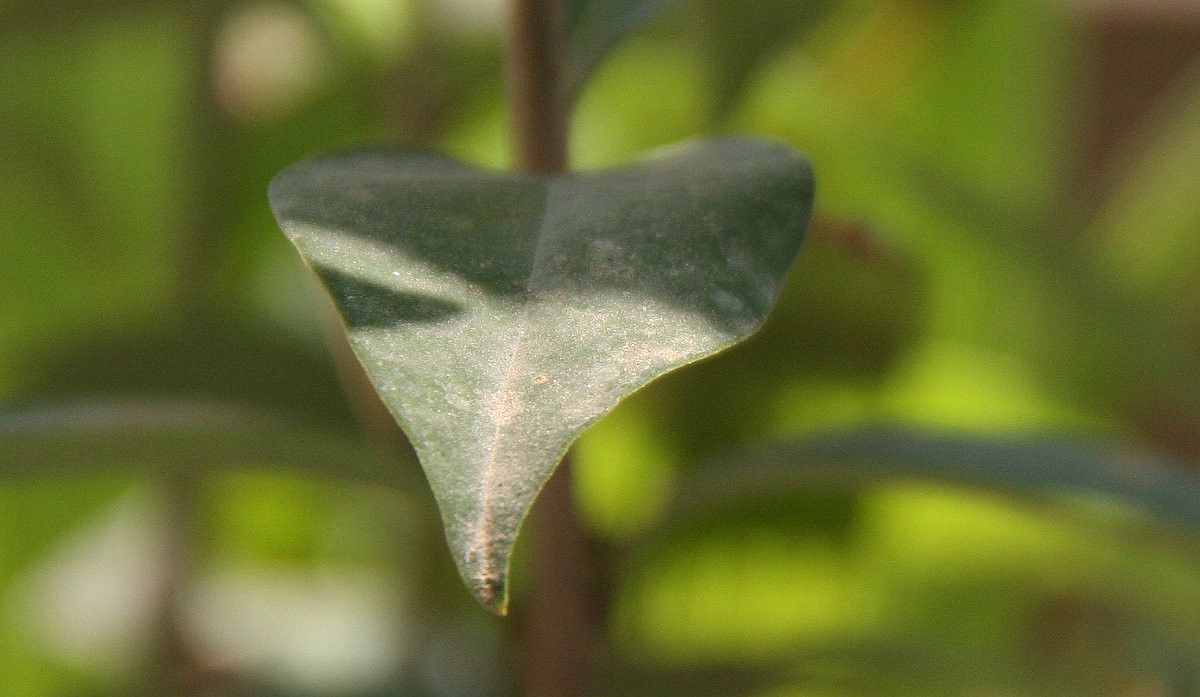 偏振镜实战记录