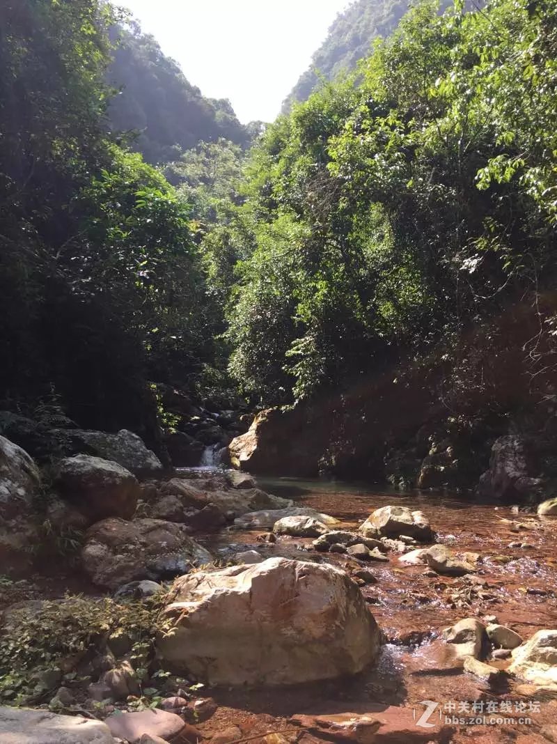 山奇水秀物稀的大山深处-颐乡缘茶业-寻茶之旅。