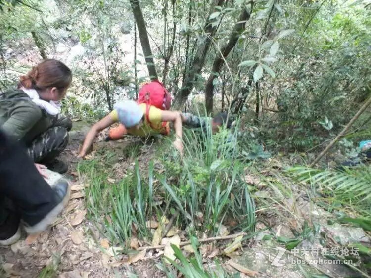 山奇水秀物稀的大山深处-颐乡缘茶业-寻茶之旅。