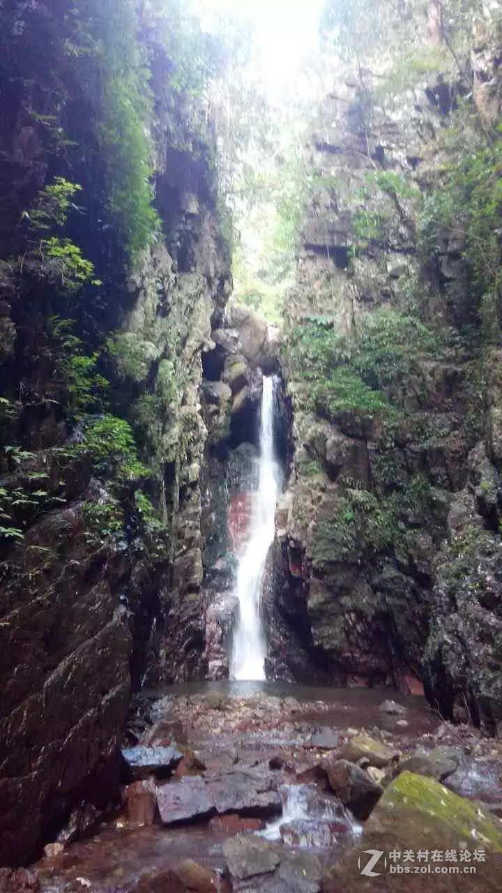 山奇水秀物稀的大山深处-颐乡缘茶业-寻茶之旅。