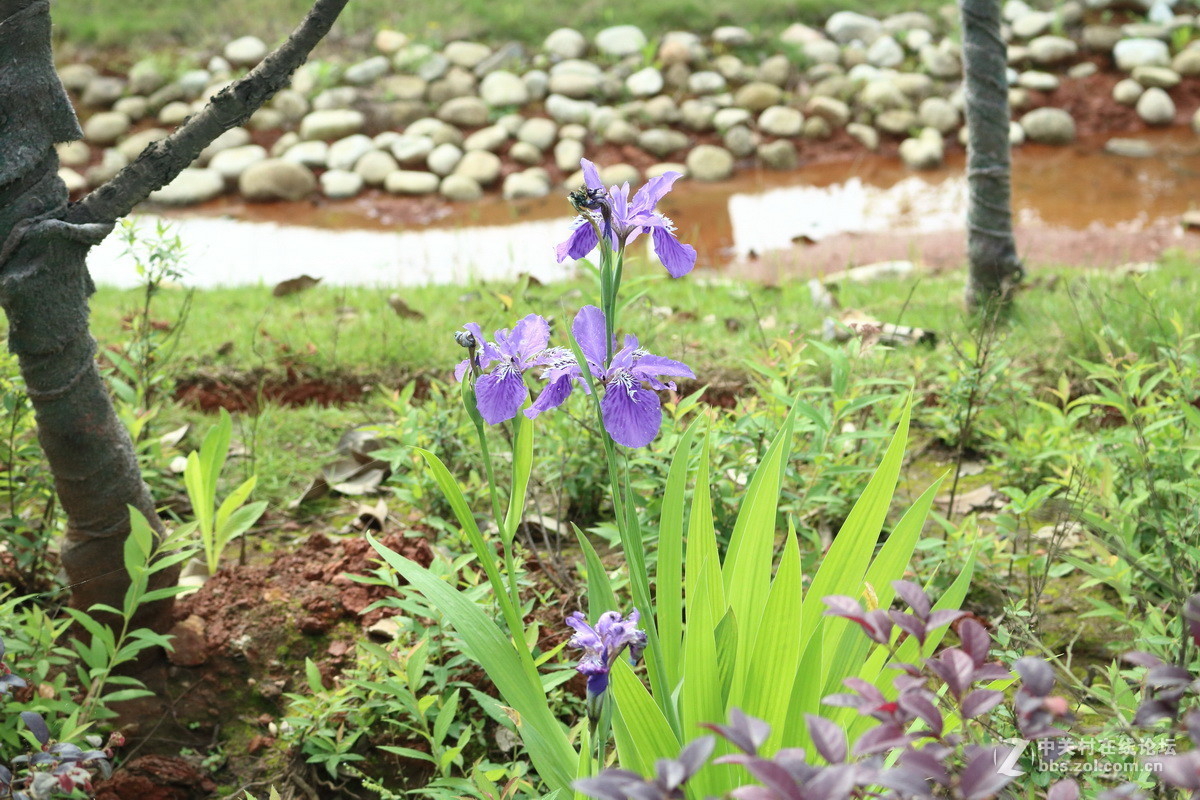 #佳能月赛-人间四月天#春日阳光正好，心情亦正好