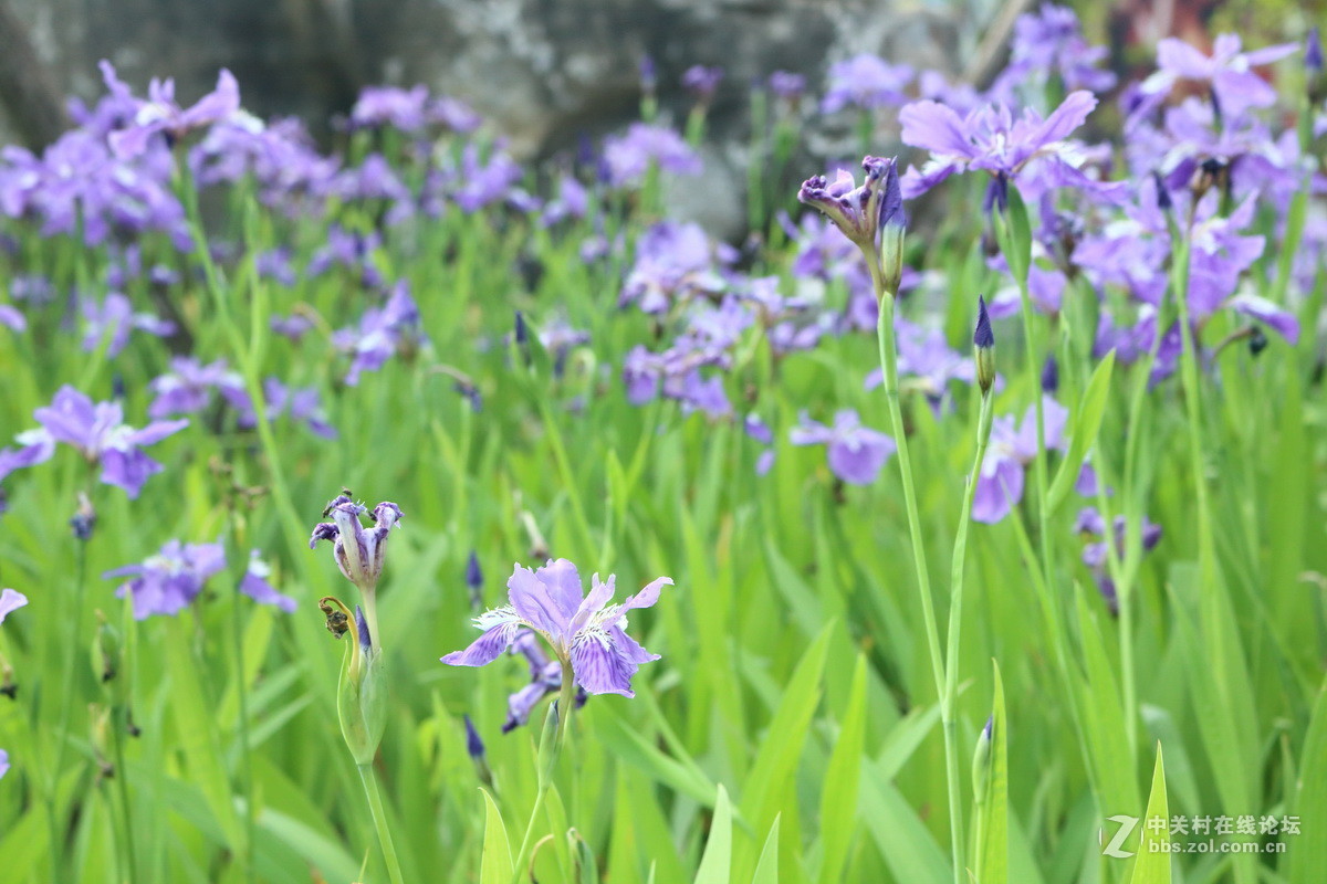 #佳能月赛-人间四月天#春日阳光正好，心情亦正好