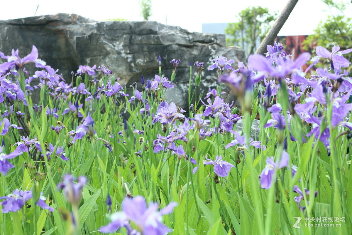 #佳能月赛-人间四月天#春日阳光正好，心情亦正好