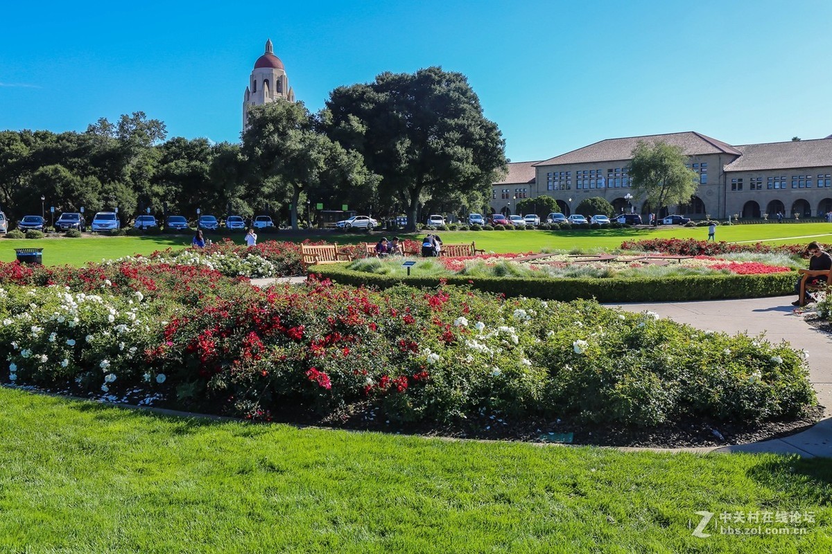 斯坦福大学前花园