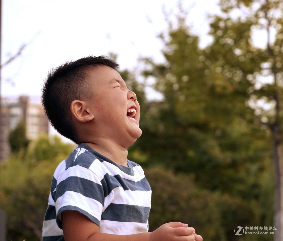 图图小宝宝。。。。。。。